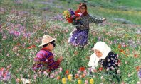 فیلم به رنگ خدا/ کارگردان: مجید مجیدی
